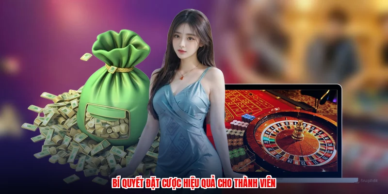Bí quyết đặt cược hiệu quả cho thành viên