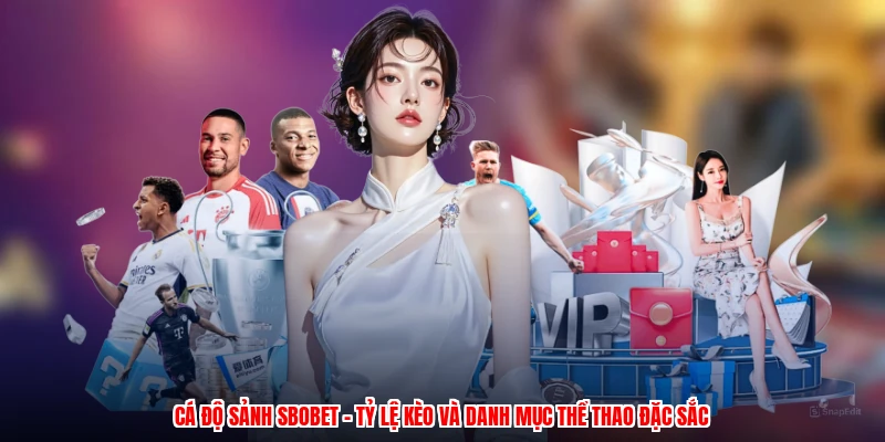Cá Độ Sảnh SBOBET - Tỷ Lệ Kèo Và Danh Mục Thể Thao Đặc Sắc