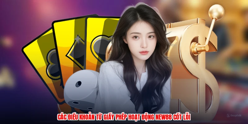 Các điều khoản từ giấy phép hoạt động NEW88 cốt lõi