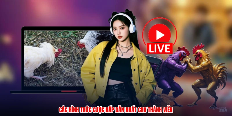 Các hình thức cược hấp dẫn nhất cho thành viên