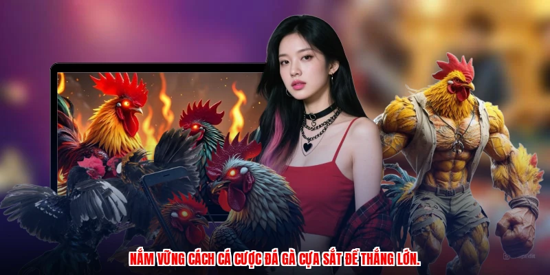 Nắm vững cách cá cược đá gà cựa sắt để thắng lớn.