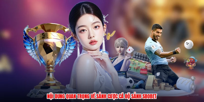 Nội dung quan trọng về sảnh cược cá độ sảnh SBOBET