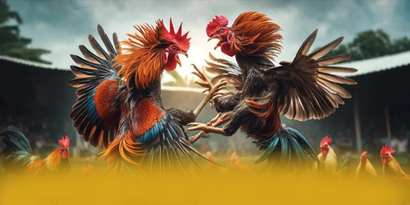 FB88 - Nhà cái sở hữu kho game phong phú tại Việt Nam FB88 - Nhà cái sở hữu kho game phong phú tại Việt Nam