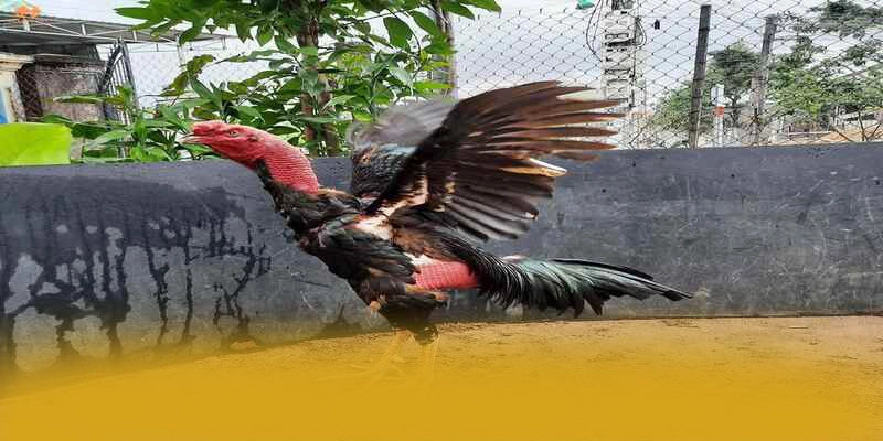 Phương thức nạp rút tiền tiện lợi tại BET168 Phương thức nạp rút tiền tiện lợi tại BET168