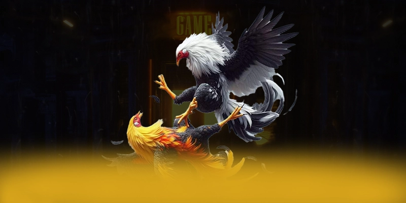 BET88 - Cổng game cung cấp hàng trăm tựa game đẳng cấp tại Việt Nam BET88 - Cổng game cung cấp hàng trăm tựa game đẳng cấp tại Việt Nam