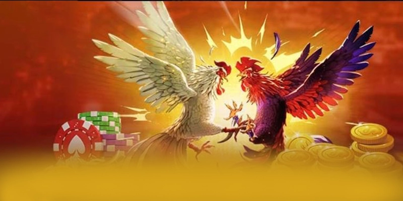 Độ tin cậy thông tin người dùng tại 8XBET Độ tin cậy thông tin người dùng tại 8XBET